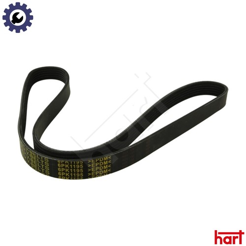 Vribbed belt 368 919 - vribbed,