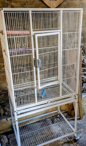 Bird cage - bird,