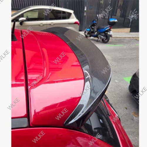 100 carbon extended duckbill - 100%carbon,