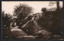 Wadhurst, Step Styles