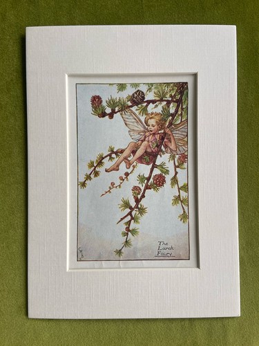 Larch flower fairy - ‘larch’,