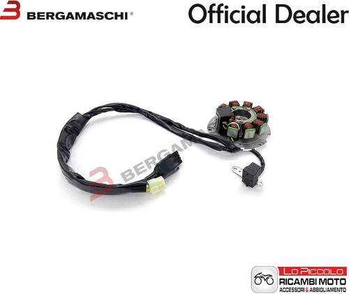Stator magnet bergamaschi - stator,