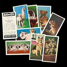 Harden Bros & Lindsey Ltd -  Doctor Teas Card NATIONAL PETS -  Pick your Card/s