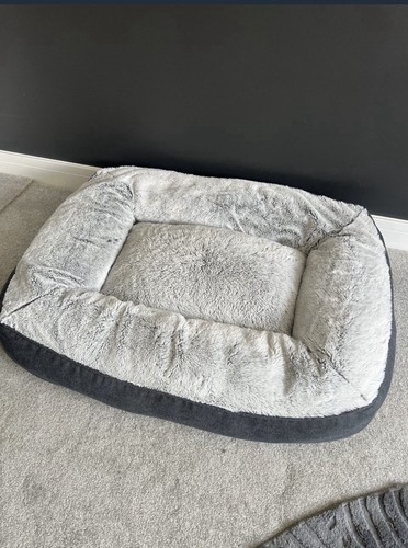 Large memory foam dog - , bed