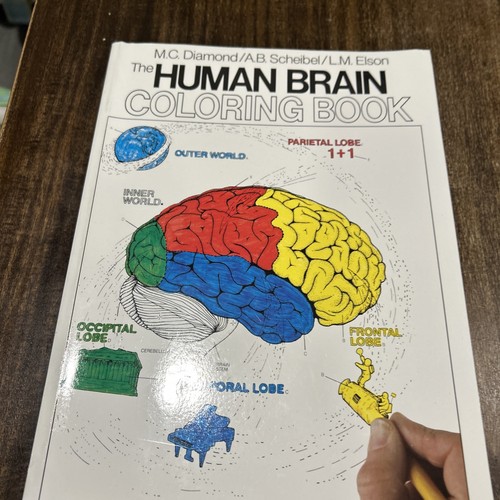 Coloring concepts ser - concepts, human