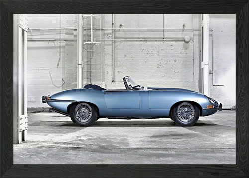 Blue jaguar type - type, wall