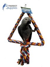 Parrot Supplies Medium African