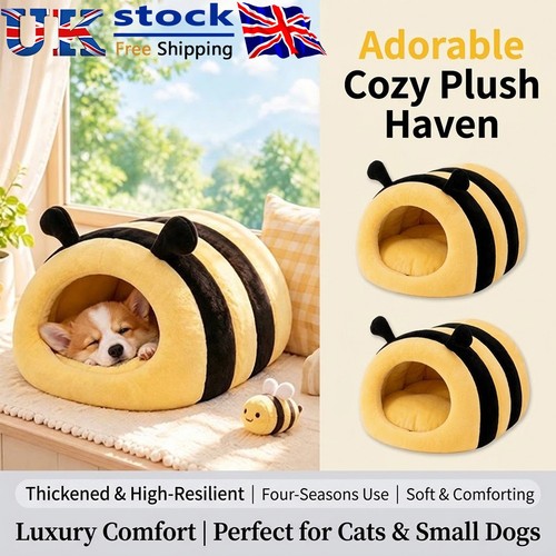 Cute bee indoor - indoor, cave