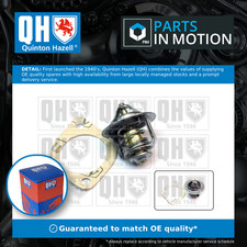 Coolant Thermostat fits