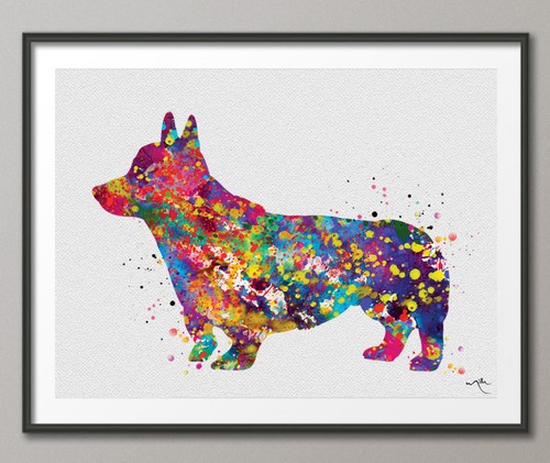 Pembroke welsh corgi - pembroke,