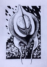 DOCTOR WHO ORIGINAL ARTWORK BLACKPOOL EXHIBITION BOOK INK DRAWING VERVOID!