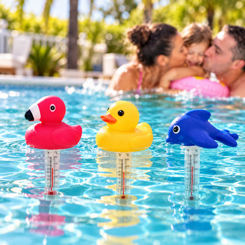 Floating duck pool - 1,