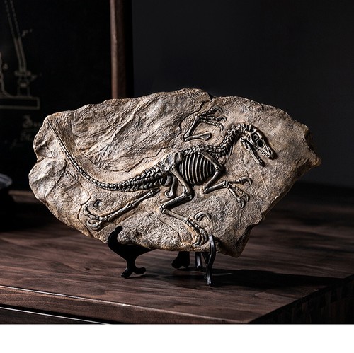 Genuine sinosauropteryx fossil - sinosauropteryx,