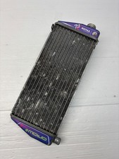 Rotax Max Evo Genuine Silver