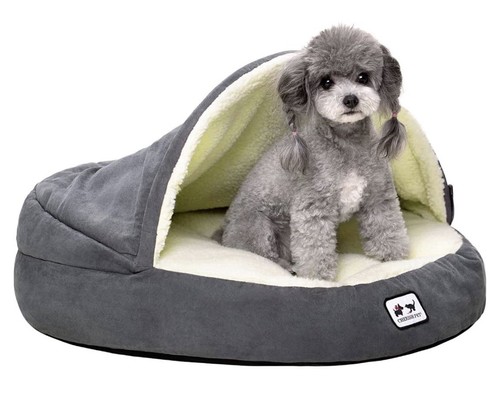 Cherished pet - pet,, cave