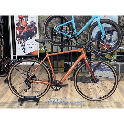 Raleigh trace ehybrid large - raleigh,