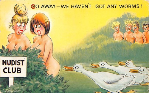 Family history postcard - history,