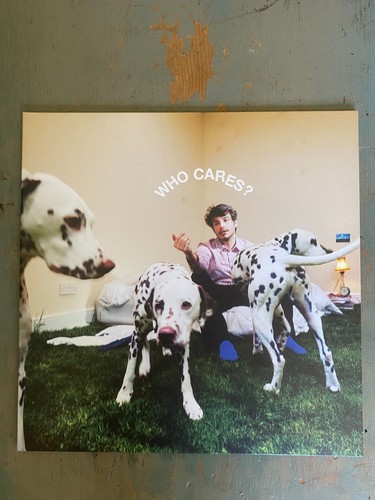 Rex orange county who - orange,