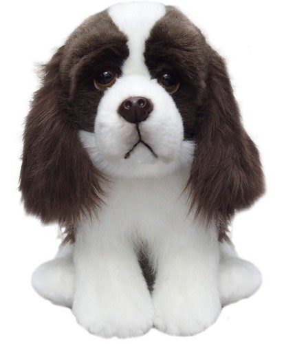 English springer spaniel plush - spaniel,