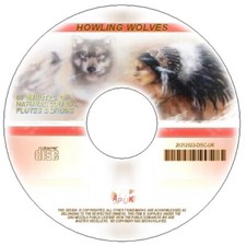 2X CD NATIVE AMERICAN SHAMANIC