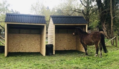Animal field shelter - 2x,