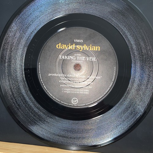 David sylvian taking the - david,