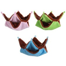 Ferret rat squirrel pet bird - rat,