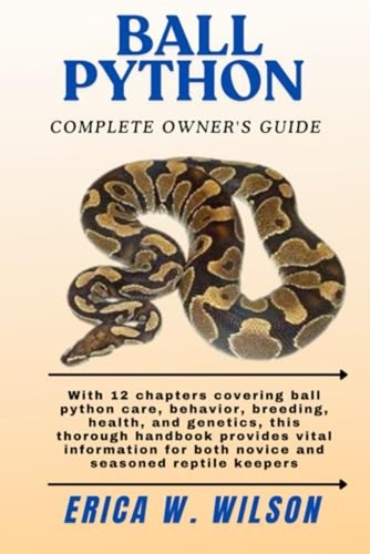 Ball python with 12 chapters - ball,