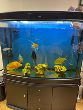 used fish tank