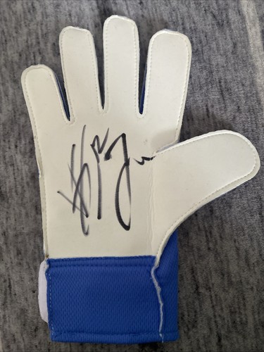 Joe hart and viljami - and,