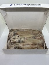 Dirty illex squid 5ib box - squid,