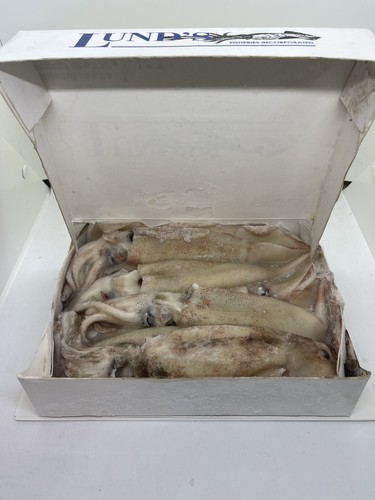 Dirty illex squid 5ib box - illex,