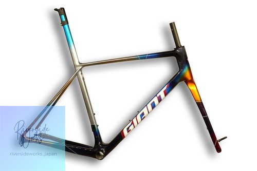 Giant tcr adv team frame - sl,