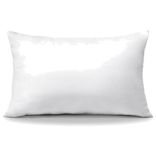 Throw pillow insert x 24 - insert,,