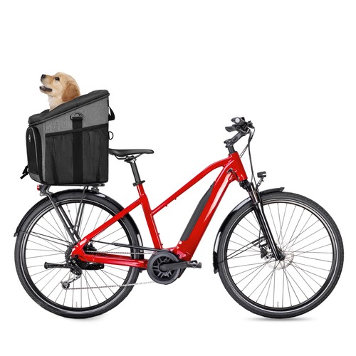 Pet carrier backpack - pet, dog