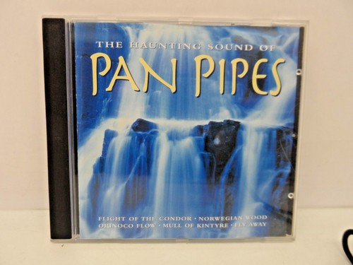 The haunting sound pan - haunting,