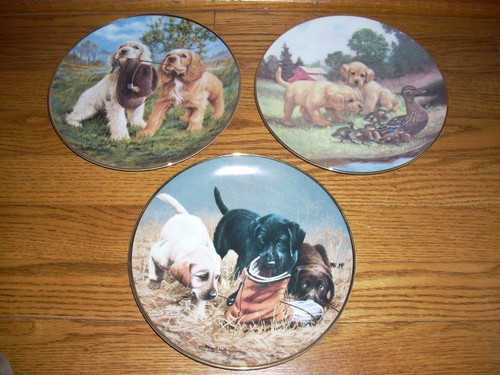 Lot vintage labrador - lot,