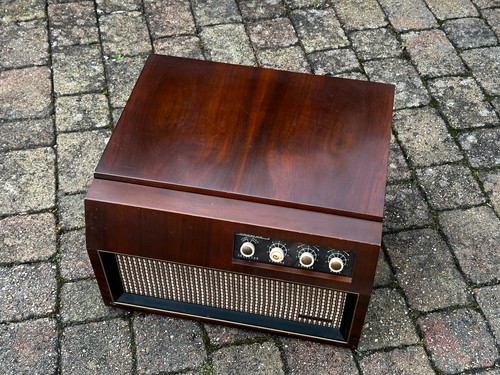 Vintage 60s dynatron mazurka - vintage,