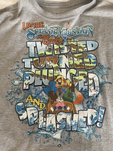Vintage splash mountain walt - vintage,