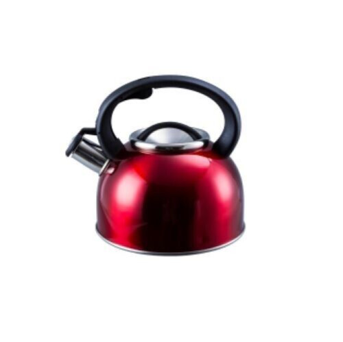 Whistling gas kettle metallic - gas,