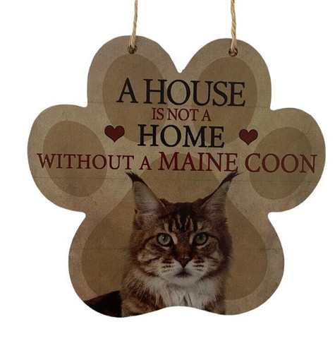 Funny maine coon - cat, lovers