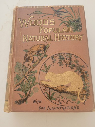 Woods popular natural history - natural,