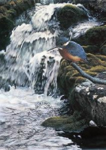Steven townsend river - steven, jewel
