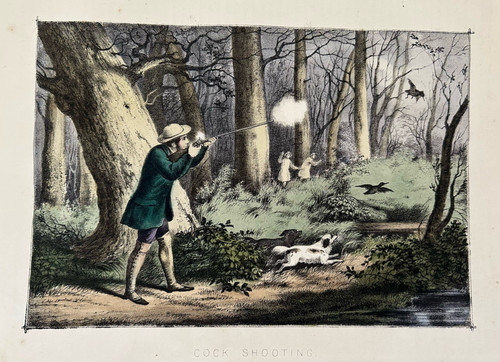 Cock shooting c1880s antique - shooting,