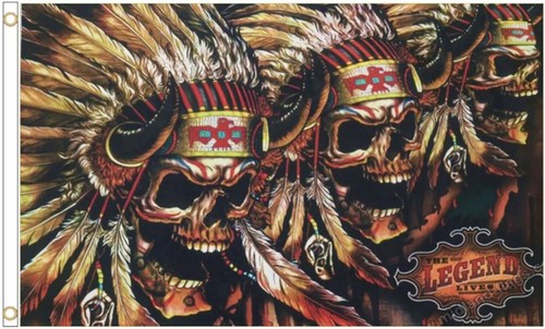 Native american skulls war - native,