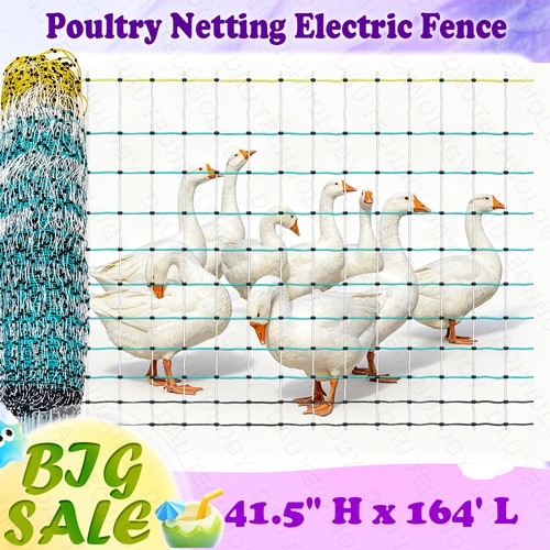 Electric poultry netting fence - poultry,