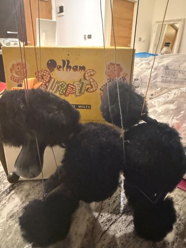 Black poodle dog 1960 - black,