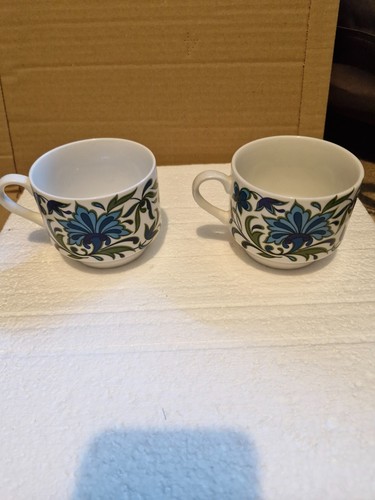 Vintage midwinter spanish - 2,