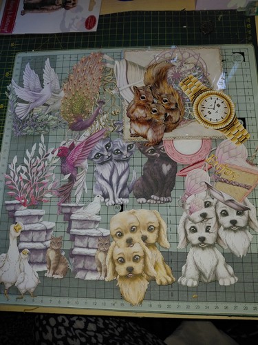 Multicolour animal bird - &,