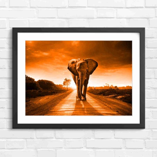 Massive elephant walking down - massive,